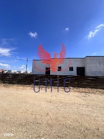 Aleea 4 Viorelelor, Malu Mare, Dolj