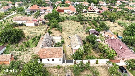 Frumuseni, Arad