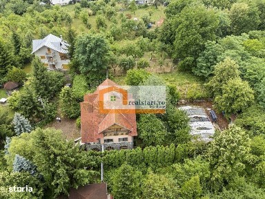 Pet Friendly, Vedere Padure, 5000mp teren, D+P+1E+M, semineu, foisor