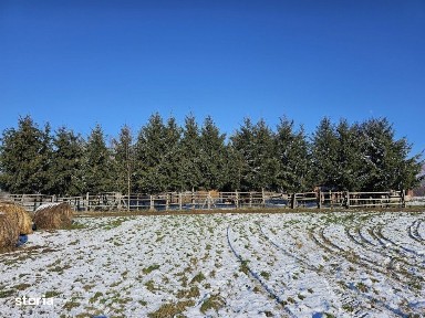 Bradet, Buntesti, Bihor