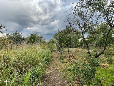 Casa si teren de 2368 mp, Zona Calea Bucuresti