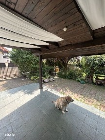 Santana De Mures, Mures