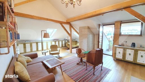 Andrei Muresanu, Cluj-Napoca, Cluj