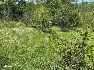 Casa Str. Negoiului, 2.249 mp teren, zona linistita, vedere panoramica