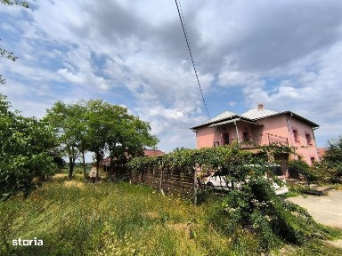 Case Parvu Rosu - Costesti la 13 km de Pitesti