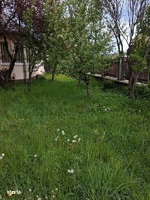 Casa de vanzare municipiul Toplita