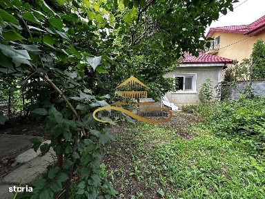Strada Brandusei, CFR, Bacau