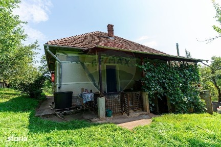 Ormindea, Baita, Hunedoara