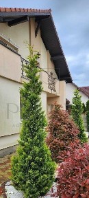 Casa individuala - zona excelenta - mobilata - curte amenajata superb