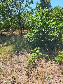 Episcopia Bihor, Oradea, Bihor