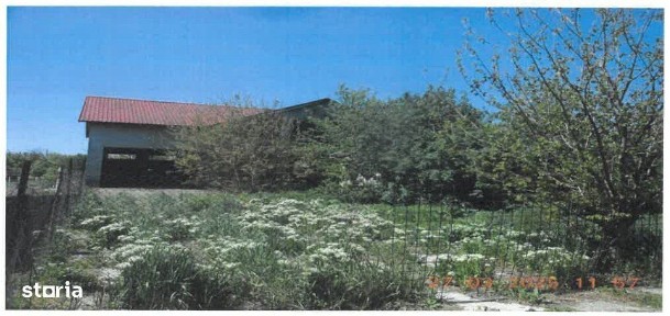 Constructii rezidentiale - 316mp + Teren - 810 MP, Suraia