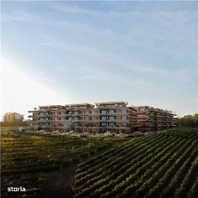 Strada Viticultori, Copou, Iasi