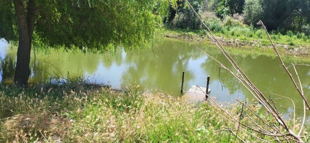 Delta Dunării, Băltenii de Jos, casă bătrânească, teren 1500mp