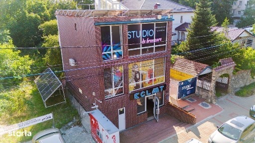 Strada Viilor, Bucovina, Botosani