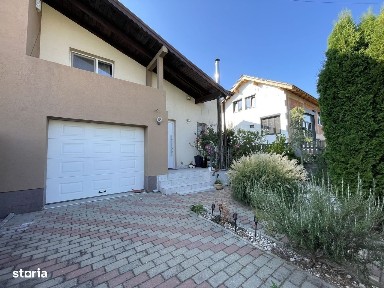 Strada Vasile Nicolescu, Calea Sagului Parc Industrial, Timisoara, Timis