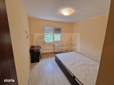 Alexandru Cel Bun, Iasi