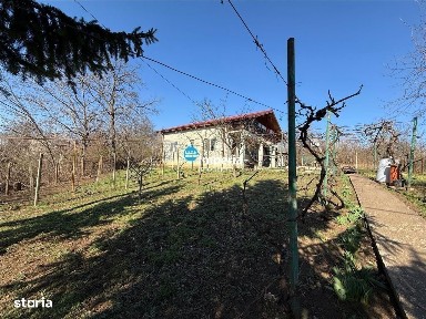 Casa individuala P+M, 1062 mp teren si 164 mp utili, COPOU