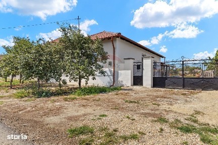 Calea Aurel Vlaicu, Arad