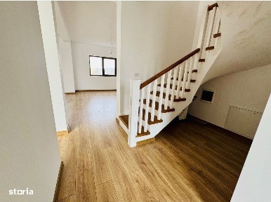 Mosnita Veche, Mosnita Noua, Timis