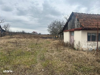 Viile Satu Mare, Satu Mare