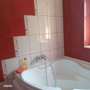 Vanzare vila Stefanesti Arges