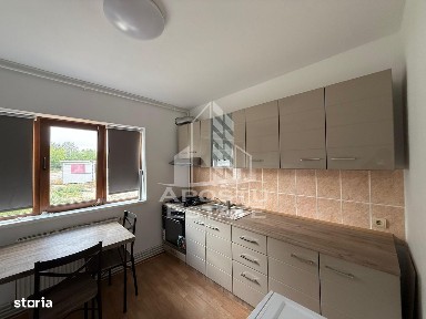 Calea Sagului Parc Industrial, Timisoara, Timis