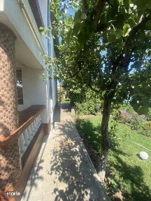 Tache, Bacau