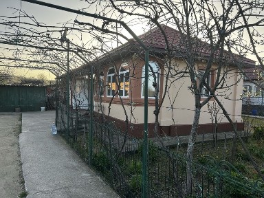 Gospodarie Lunca Corbului 2 case +multiple anexe 2600 metri teren