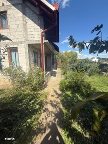 Salcea, Suceava