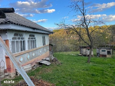 Margineni, Bacau