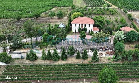 Conac nobiliar restaurat în Bihor, România, Gaminvest,V4105B