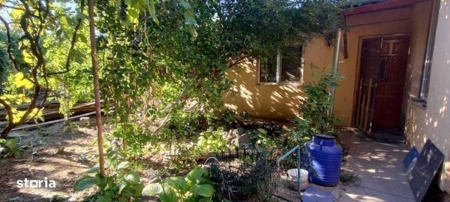 Cetate, Timisoara, Timis