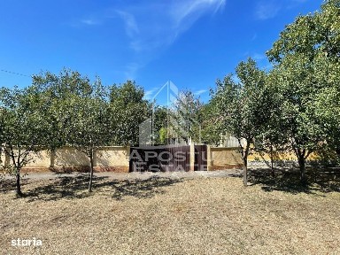 Casa cu teren 3407 mp, la asfalt, Seceani, 26 km de Timisoara.