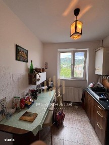 Valea Borcutului, Baia Mare, Maramures