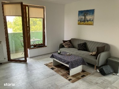 Zona Timisoara Sud, Timisoara, Timis