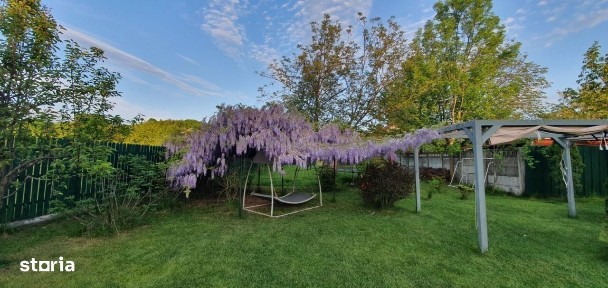 Soseaua Snagov, Snagov, Ilfov