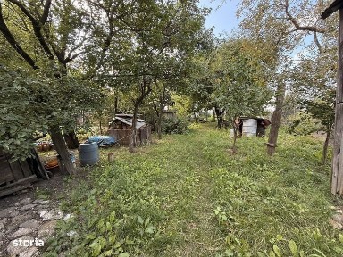 Casa cu livada, 3600mp intraviran, in Dorohoi.