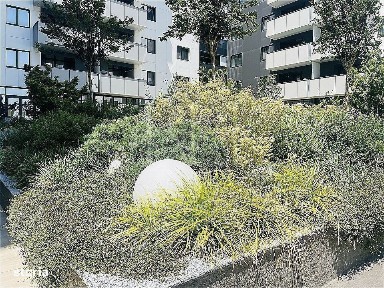 Soseaua Bucuresti Nord, Voluntari, Ilfov