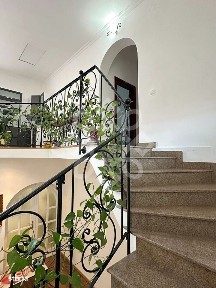 Strada Roman Ciorogariu, Olosig, Oradea, Bihor