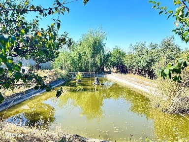 Casa si teren 3567 mp cu piscina, livada si helesteu - Corlatesti