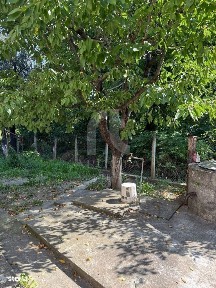 Viperesti, Buzau