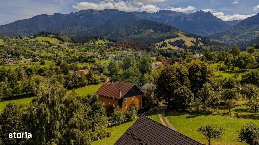 Strada Muntii Bucegi, Bran, Brasov
