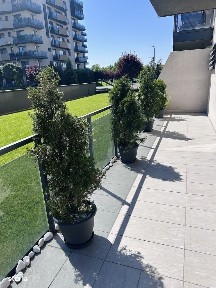 Strada Soporului, Gheorgheni, Cluj-Napoca, Cluj