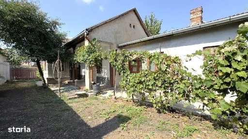 Strada Marasesti, Carei, Satu Mare