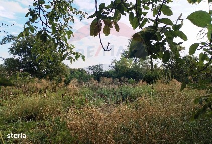 Strada Dispensarului, Roznov, Neamt