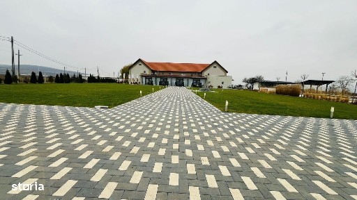 Proprietate De Vanzare In Sebes. Pensiune, Restaurant, Clinica.