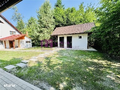 Casa de vacanta 7 camere | Valea Avrigului | teren 1000 mp | video