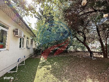 Centru, Craiova, Dolj