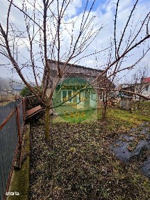 Gadinti, Neamt