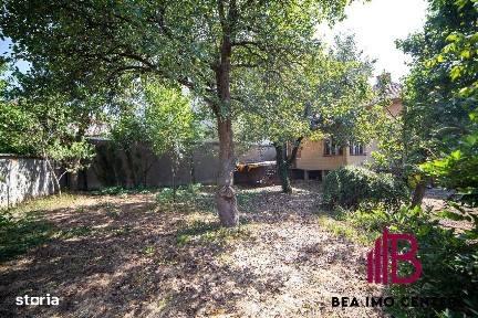 Strada Eroul Necunoscut, Centru, Arad